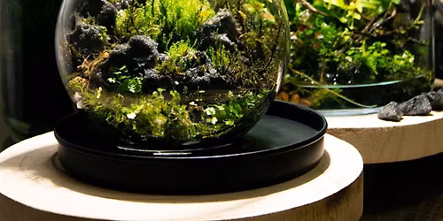 Pride Month Terrarium Workshop