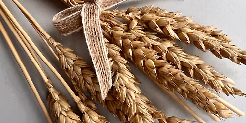 Make your own corn dolly - a half-day workshop