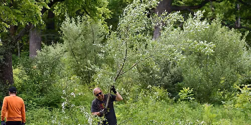 Volunteer Morning: Hickory Creek Preserve \u2014 LaPorte Road Access