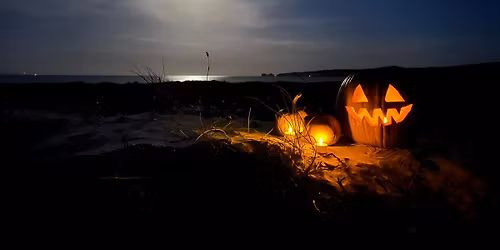 Wicked Wildlife After Dark