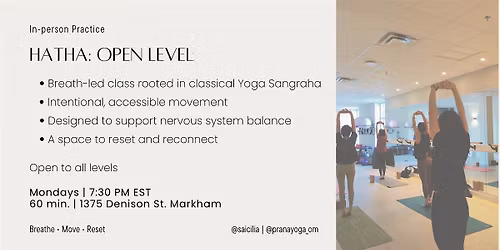 In-Preson Hatha Yoga: Open Levels