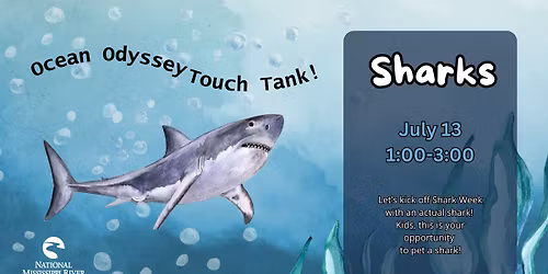 Ocean Odyssey Touch Tank