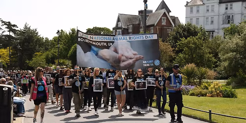 Bournemouth Animal Rights Day 2026