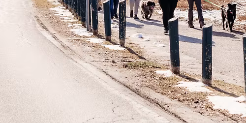 \ud83d\udc3e Happy Dance Christmas in the Park: Community-Wide Group Dog Walk \ud83d\udc3e