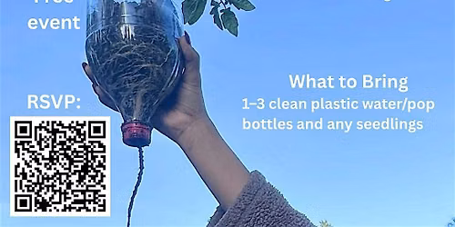 Upcycled Hydroponics for Beginners