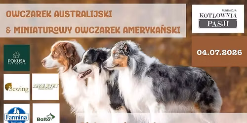 OWCZAREK AUSTRALIJSKI & MINIATUROWY OWCZAREK AMERYKA\u0143SKI z Magdalen\u0105 \u015awi\u0119to\u0144 