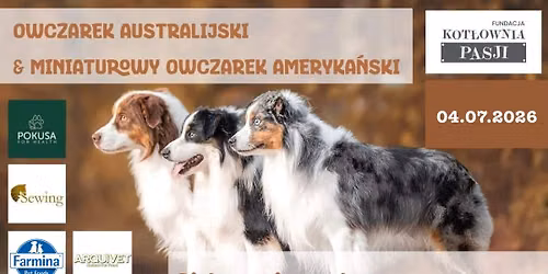 OWCZAREK AUSTRALIJSKI & MINIATUROWY OWCZAREK AMERYKA\u0143SKI z Magdalen\u0105 \u015awi\u0119to\u0144