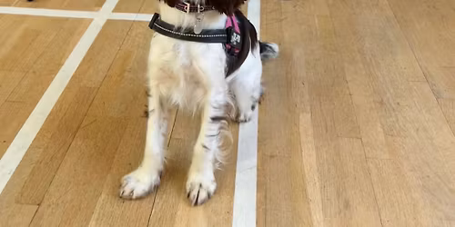 January Junior Lifeskills Course -  7pm Tuesday FULLY BOOKED