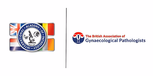 BDIAP-BAGP Symposium on Gynaecological Pathology