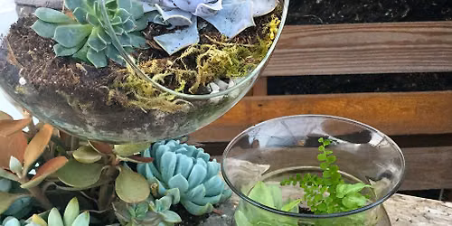 Kids Klub Terrarium Workshop