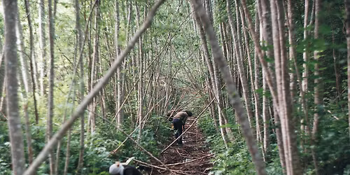 \u00dcleelamine suvises looduses baaskursus 2026