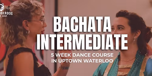 Bachata Intermediate (Weekly Course)