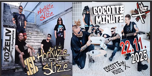 Hork\u00fd\u017ee Sl\u00ed\u017ee & Cocotte Minute_KD \u017dELIV