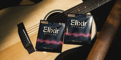 Make Music Day with Elixir Strings