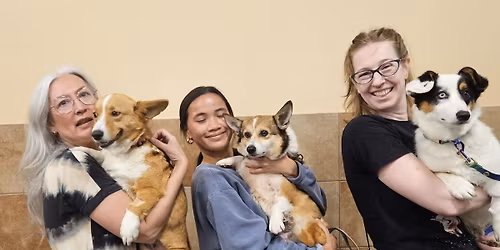 PetSmart Adoption in Shakopee for FaerieLand