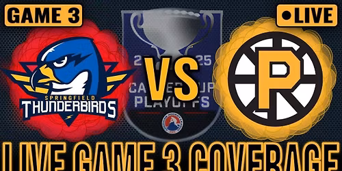 Springfield Thunderbirds vs. Providence Bruins