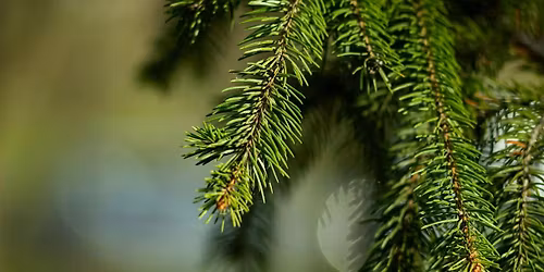 Evergreen Tour -- New Date: March 20, 11:00 a.m.