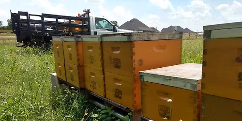 Gainesville Texas Farmers Market