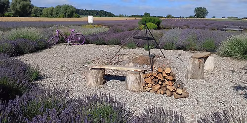 LOVENDA KUJAWSKA ZWIEDZANIE + WARSZTATY
