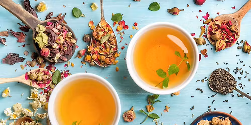 \u7b2c11\u56de\u3000\u65e5\u672c\u30cf\u30fc\u30d6\u7642\u6cd5\u7814\u7a76\u4f1a\u3000\u5b66\u8853\u96c6\u4f1a