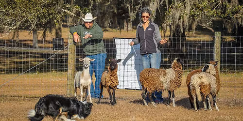 XP RANCH CATTLE LESSONS at RockHill Ranch