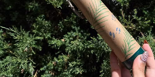 Forest Shakers