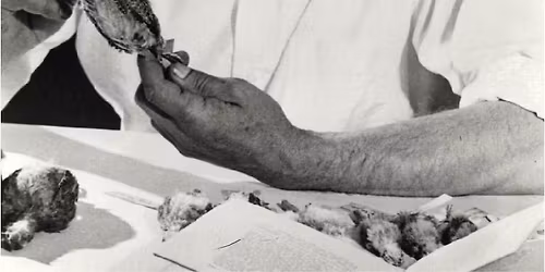 "Aldo Leopold Was for the Birds!": In-Person Badger Talk in Baraboo, WI