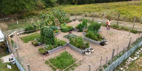 Summer Garden-to-Table Series: Making French-Style Potato Salad