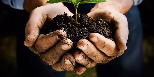 Farmers Market Saturday\u2019s