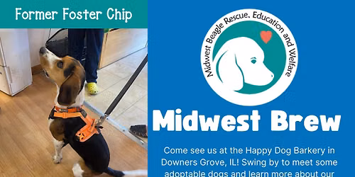 Midwest Brew Beagle Meet & Greet