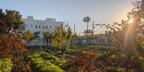 Family Style Farm Dinner