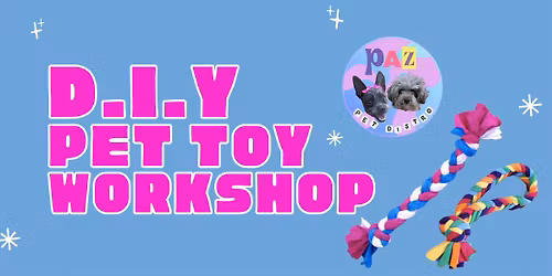 DIY Pet Toy Workshop