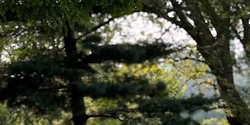 Intimate Healing Circle: Releasing Sound Bath Experience