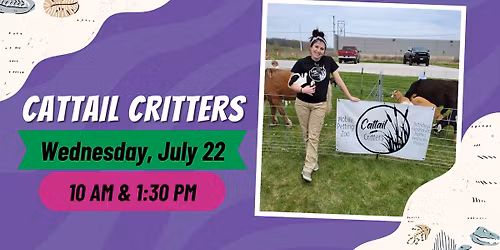 Summer Performer: Cattail Critters