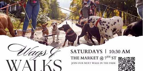 Wags N Walks Dog Walking Club