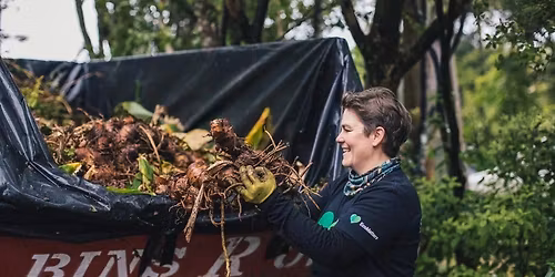 Titirangi W**d Bin Weekend