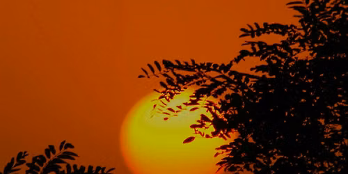 108 Sun Salutations