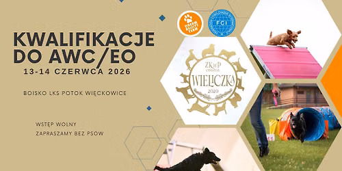 Finalowe kwalifikacje do EO\/AWC 