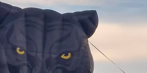 Ridge Point Vs. Austin