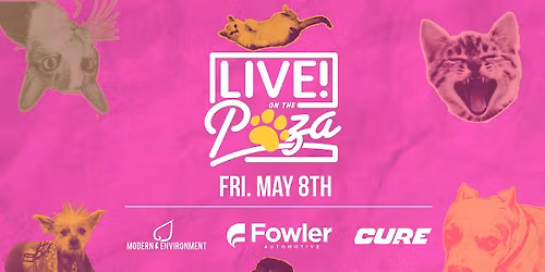 LIVE! on The Pawza