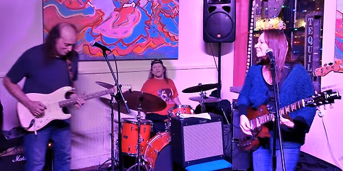 The Erinn Brown Band