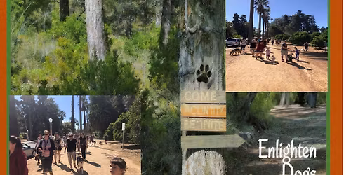 Free Pack Walk with Enlighten Dogs Redlands