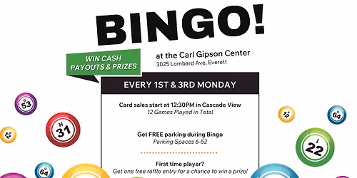 Bingo Afternoons at the Carl Gipson Center (Open to all)