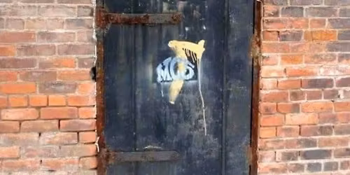 The American Ruse w\/ Warped Tourists and Petals of Power