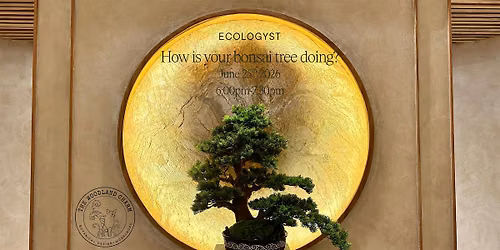 How is your Bonsai Tree doing? \u2014 A free seminar for Bonsai beginners