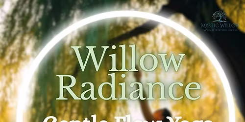 Willow Radiance: Gentle Flow Yoga
