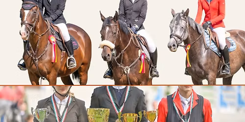 Fedeles Nemzeti + Felk\u00e9sz\u00edt\u0151 D\u00edjugrat\u00f3 Verseny 