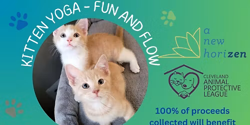 Kitten Yoga Fun & Flow Fundraiser for Cleveland APL