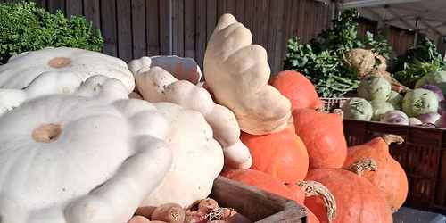 Tr\u00e9sors d\u2019Automne