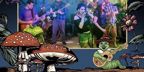 Terrafunk